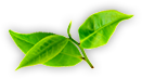 九游 (jiuyou)娱乐官网_jiuyou.com