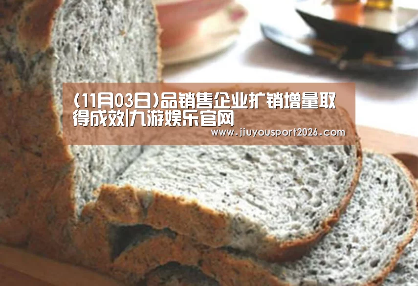 (11月03日)品销售企业扩销增量取得成效|九游娱乐官网