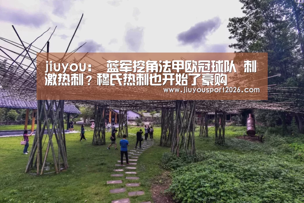 jiuyou：
蓝军挖角法甲欧冠球队 刺激热刺？穆氏热刺也开始了豪购(图1)