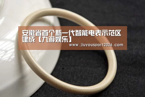 安徽省首个新一代智能电表示范区建成【九游娱乐】(图1) 9游官网