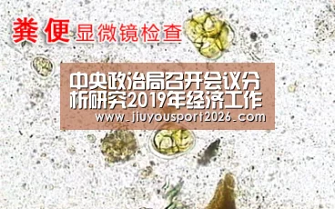 中央政治局召开会议分析研究2019年经济工作|九游娱乐官网(图3) 9游官网