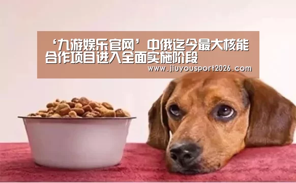 ‘九游娱乐官网’中俄迄今最大核能合作项目进入全面实施阶段(图1) 九游娱乐